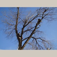 gallery/rezanie-dreva/thumbs/04 - munka kozben 1.JPG